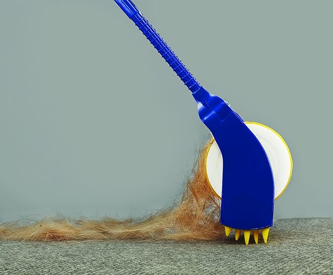 zoom