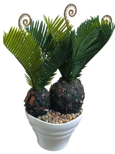 المنتج